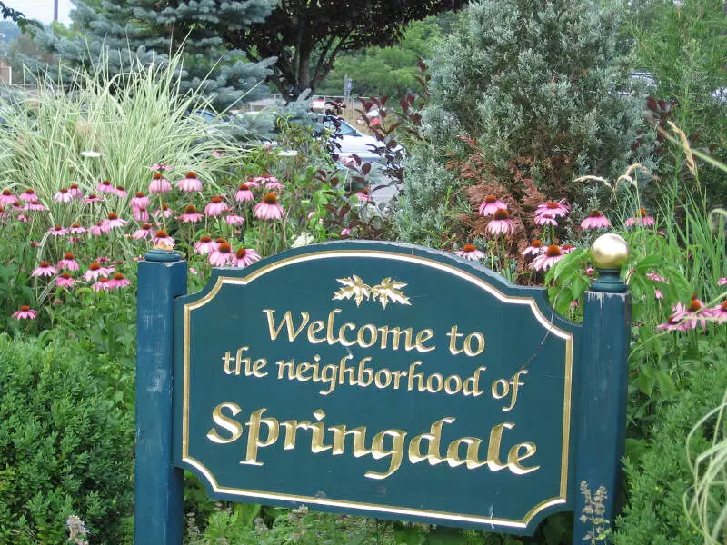 Welcomespringdalestamfordct