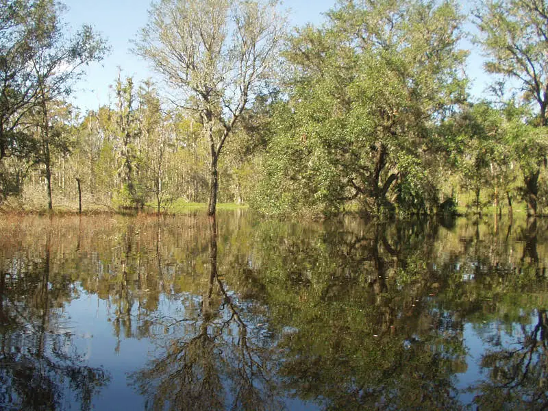 Kissengen Spring Flooded From Peace River Backflow After Hurricanes Passed Through The Areac Octoberc