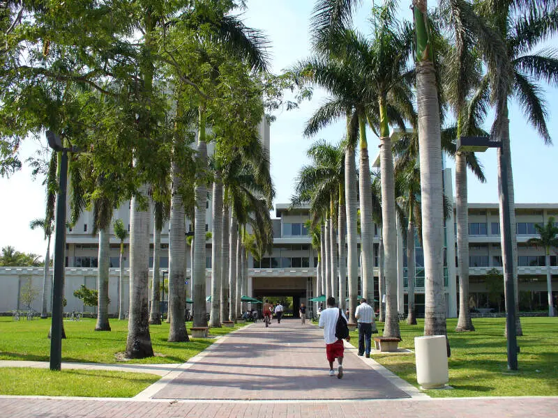 University Of Miami Otto G