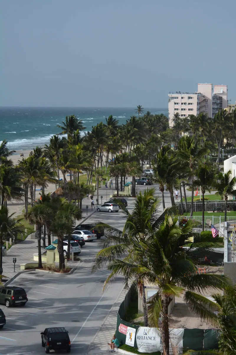 Palm Trees Line Deerfield Beach Photo D Ramey Logan