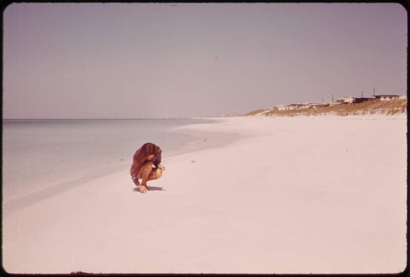 Beach At Destinc On The Gulf Of Mexico   Nara