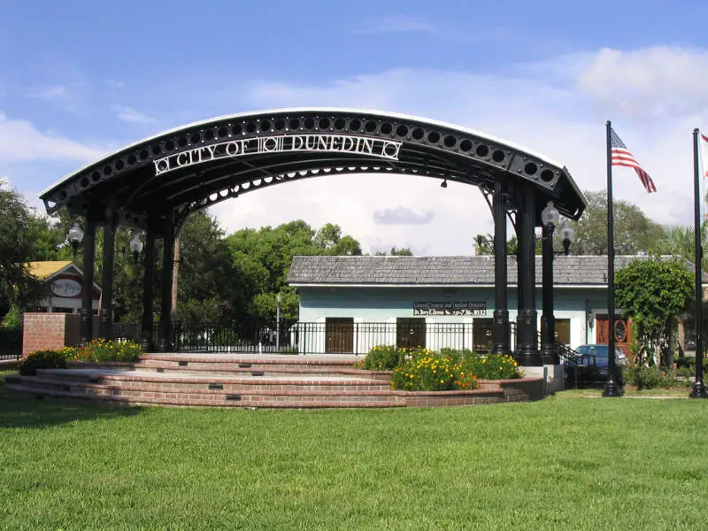 Dunedinbandshell