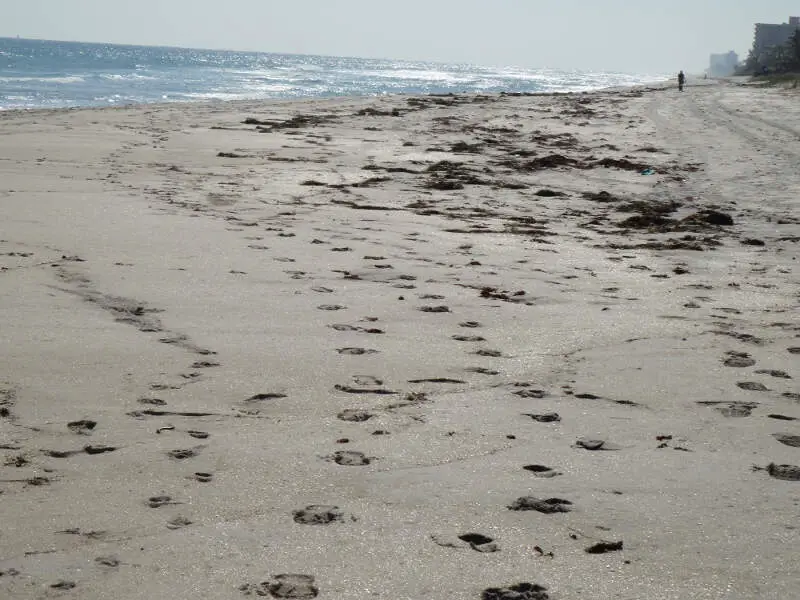 Piled Sand And Ocean In Highland Beach Florida