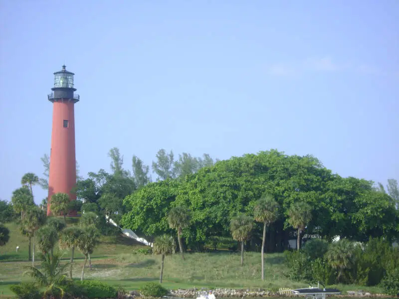 Jupiter Lighthouse And Banyan Tree