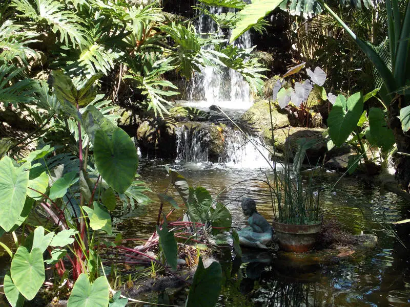 Fountain Marie Selby Botanical Gardens
