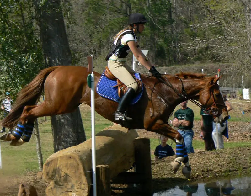 Horsetrials