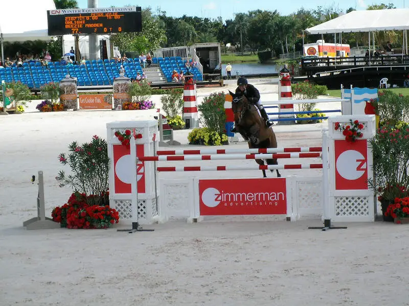 Beezie Madden Onlight Wef