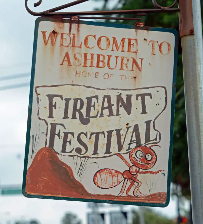 Fire Ant Festival Signc Ashburnc Gac Us