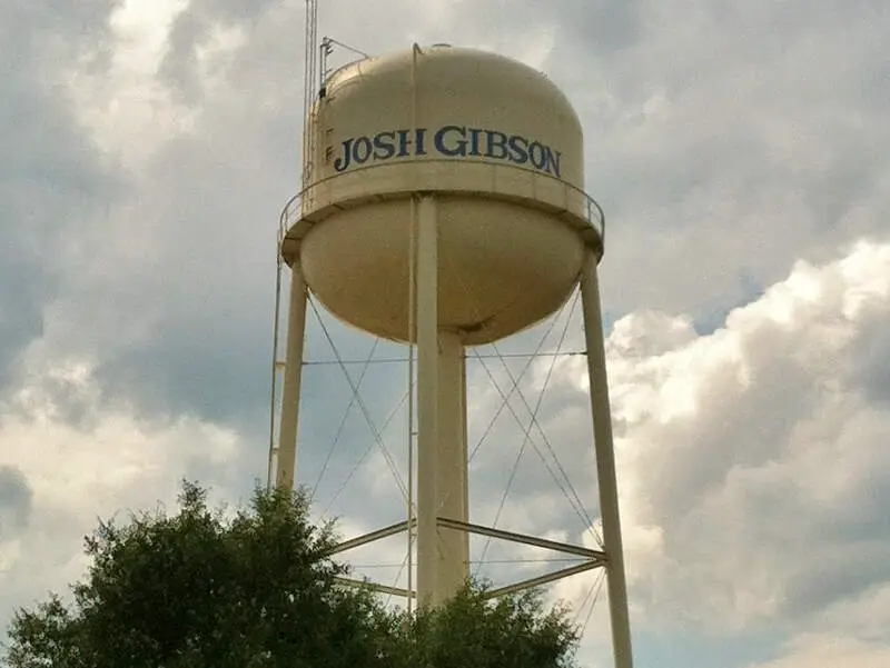 Josh Gibson Water Towerb Buena Vistac Ga