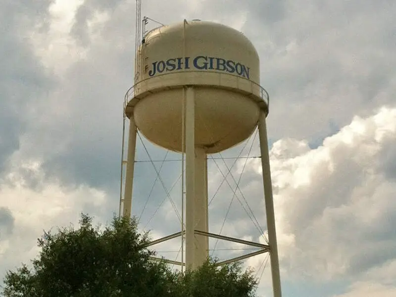 Buena Vista, Georgia