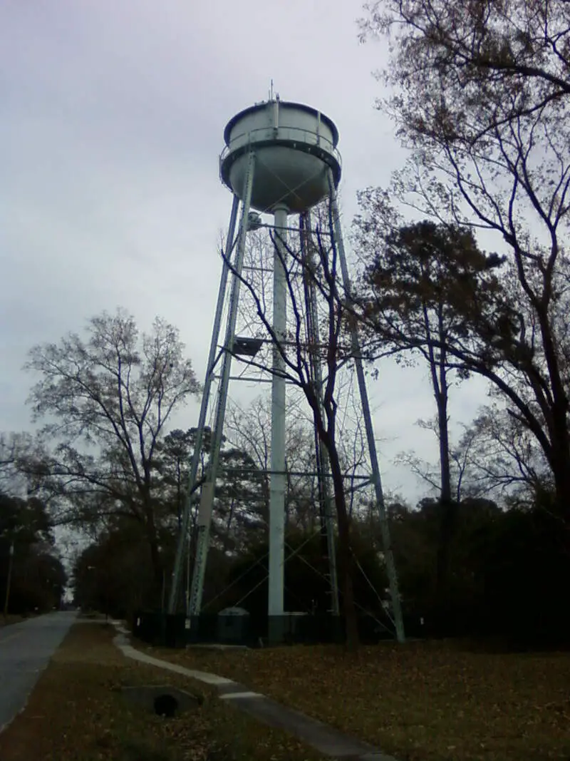 Nelson Ave Water Tower