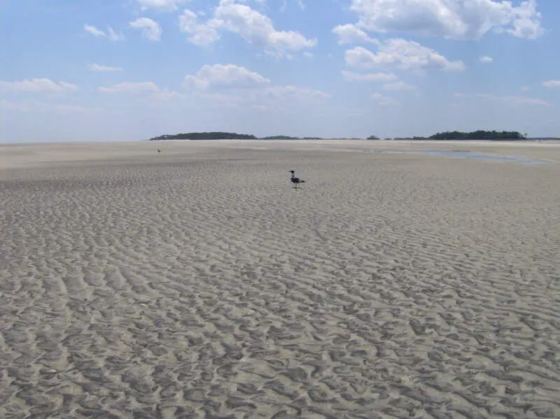 Tybee Island South Lowtide Ga