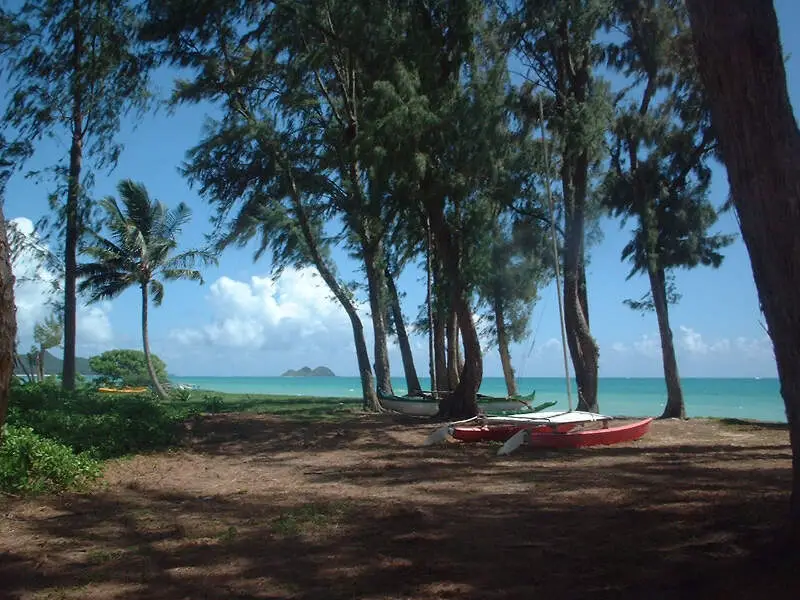 Waimanalobeach Boats