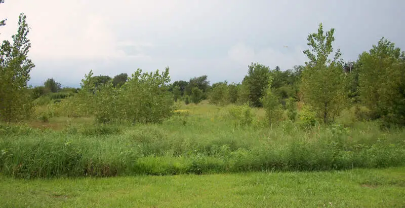 Humboldtc Iowa Marshland