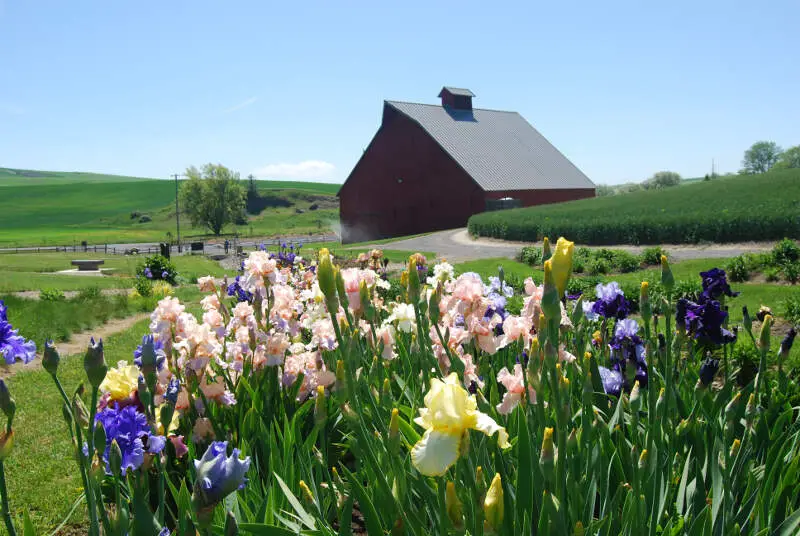 Uiarboretum