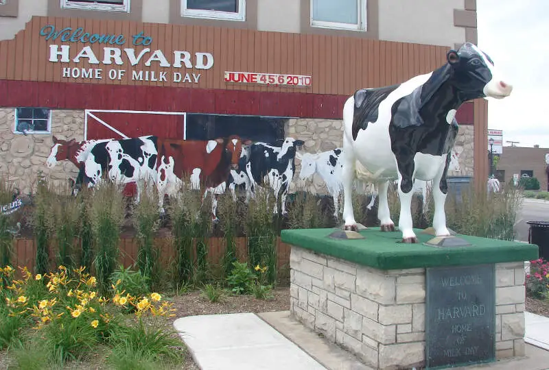 Harvardilcow