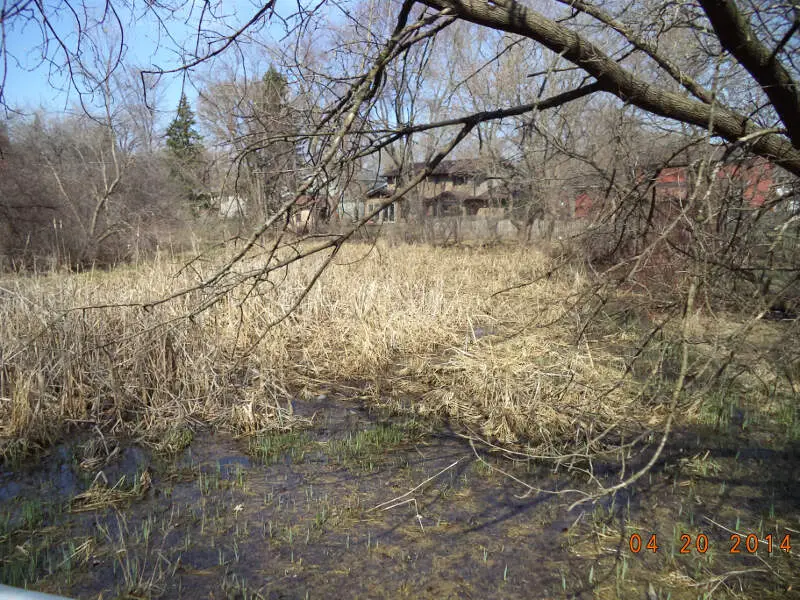 Oak Hollow Conservation Area Of Schaumburgc Illinois