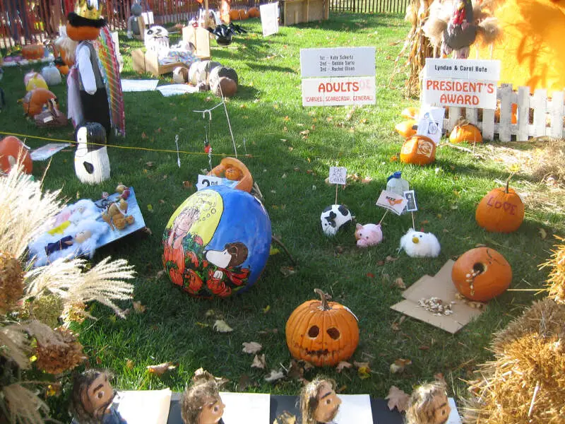 Sycamore Il Courthouse Lawn Pumpkin Fest