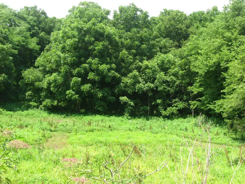 Osborn Site Near Bloomfield