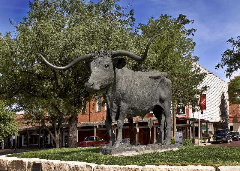 Dodge City Longhorn