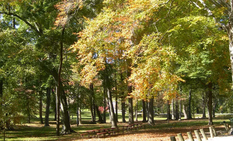 Central Park Trees Ashland Ky Oct