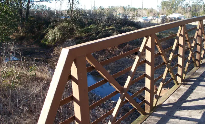 Ponchatoula Creek Southeastern Footbridge