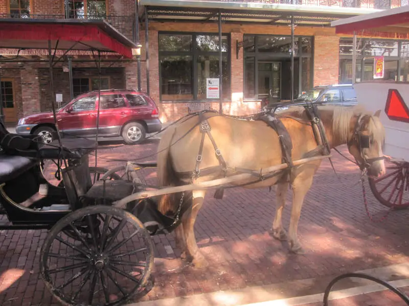 Carriage Rides Through Historic Natchitochesc La Img