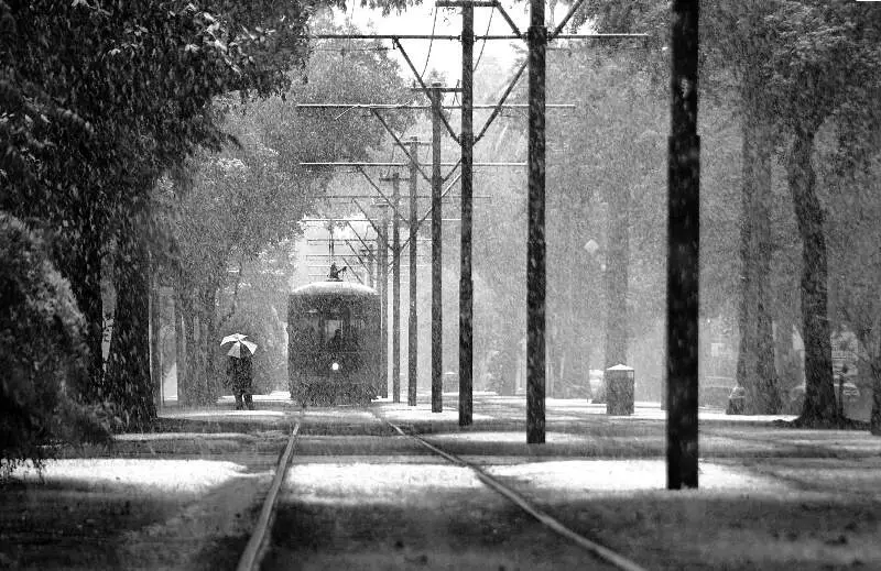 Snow In New Orleans By Evreniz