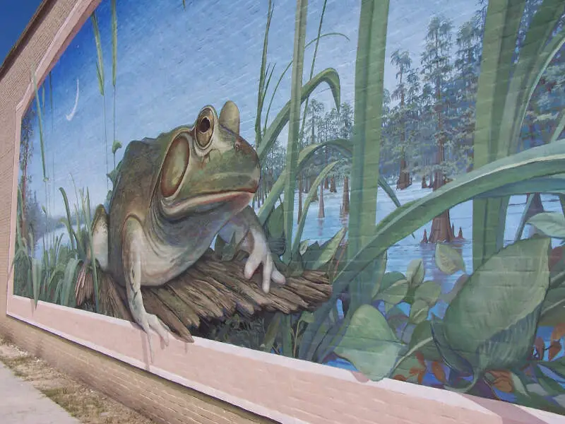 Frogmural