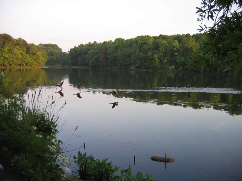 Greenbelt  Albert S Buddy Attick Lake Park