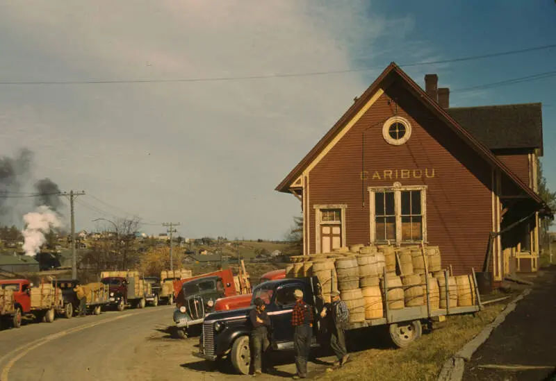 Living In Aroostook County, ME