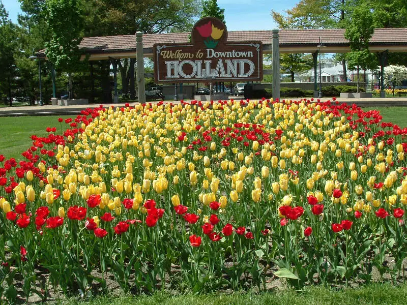 Holland Mi Tulips