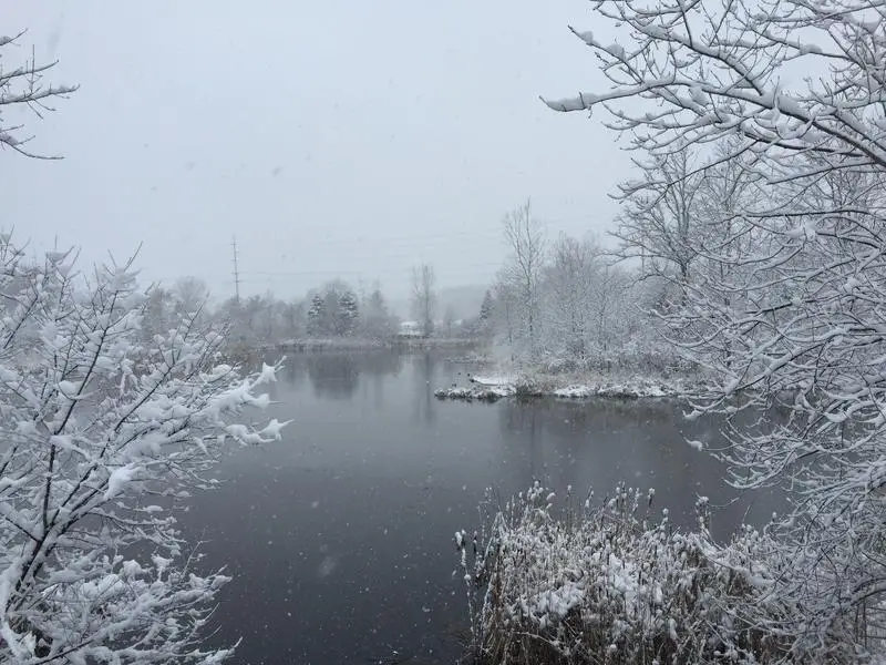 Lansing Township, MI