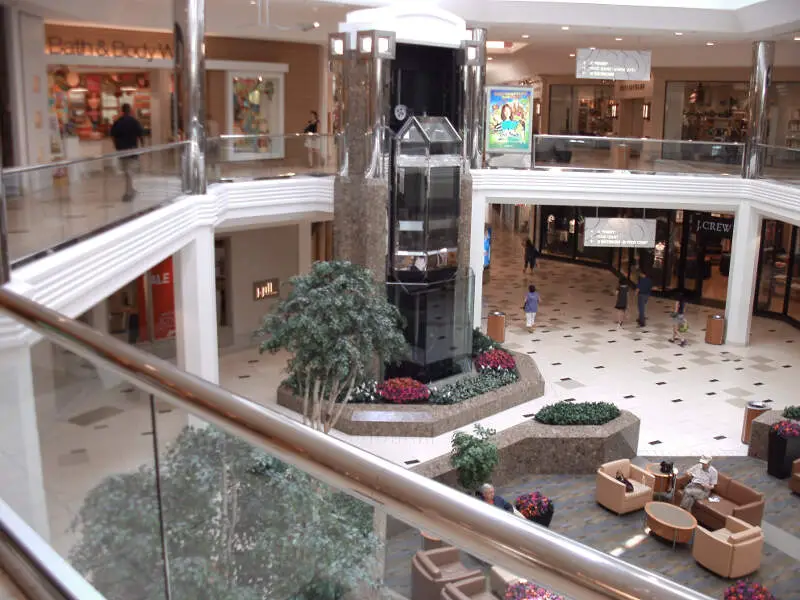 Twelve Oaks Mall Interior