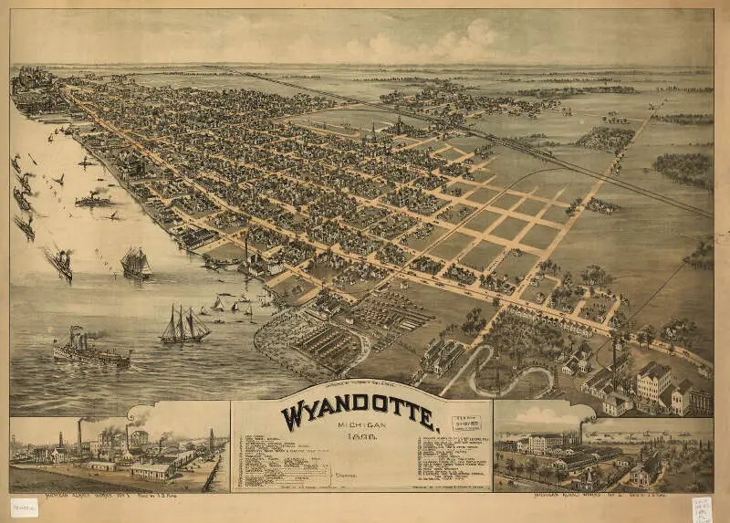 Wyandotte