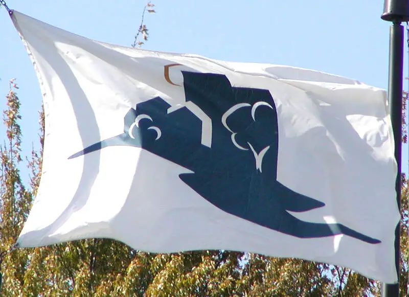 Bloomington Flag