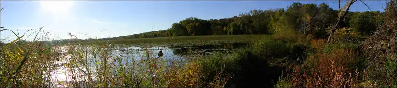 Forest Flood Plain