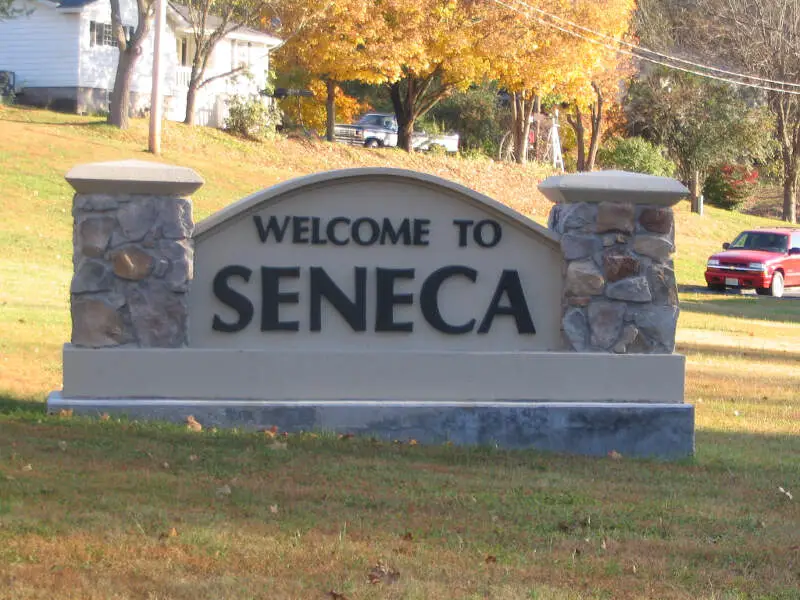 Welcome To Seneca