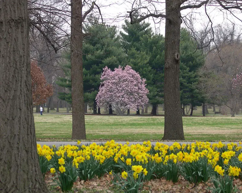 Tower Grove Park Scene