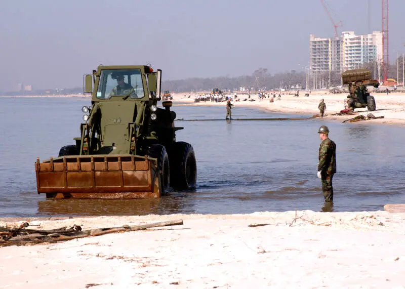 Beach Cleanup  N W