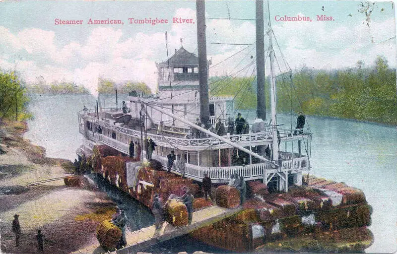 Postcard Of Steamer American On Tombigbee River At Columbusc Mississippi