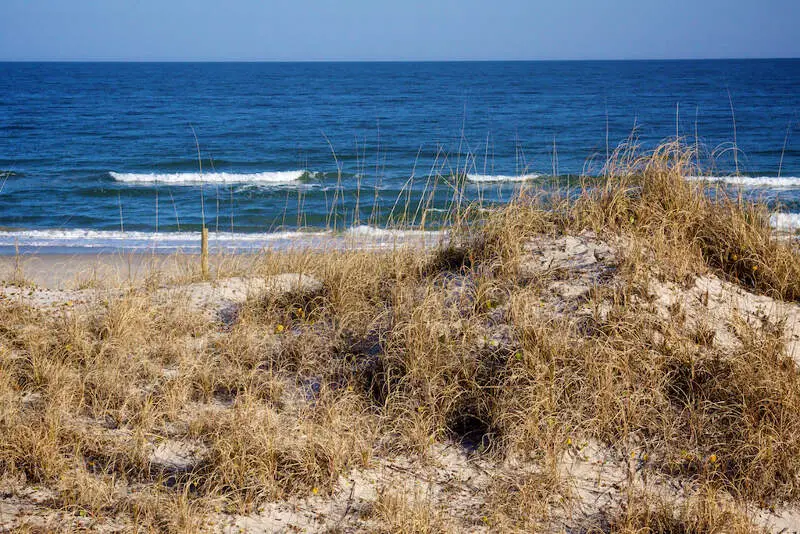 Dunes And Ocean