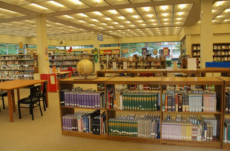 Person Public Library Reading Room