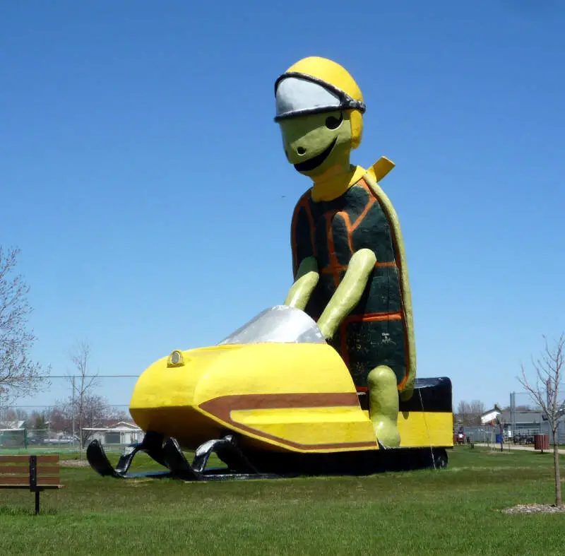 Nd Bottineau Tommyturtle