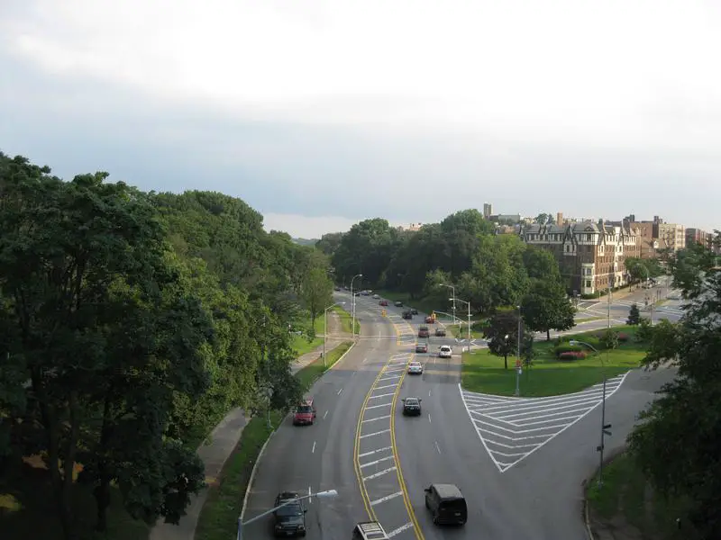 Bedford Park New York, NY