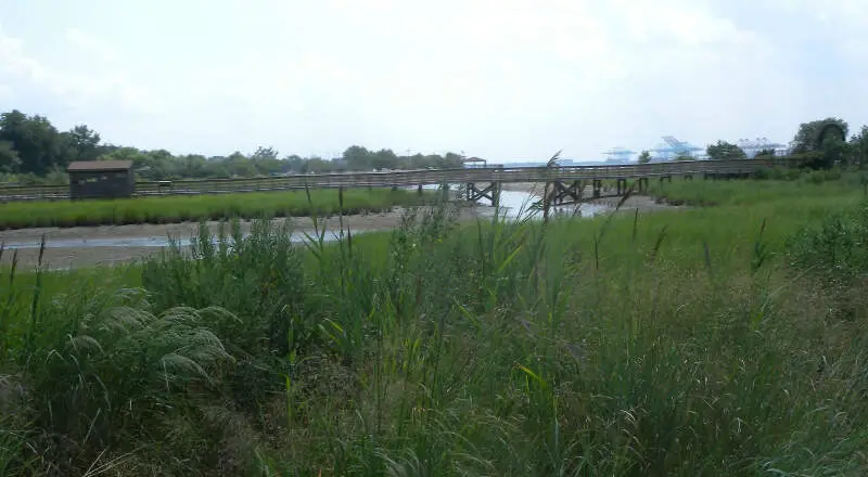 Bayonne Wetland Park Bridge Jeh