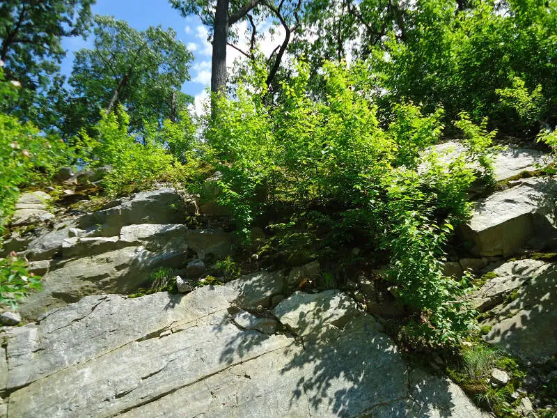 Shrubs In Boulders In Bloomingdale New Jersey