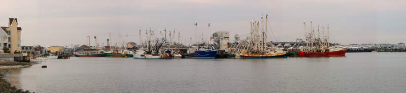 Panorama Of Harbor