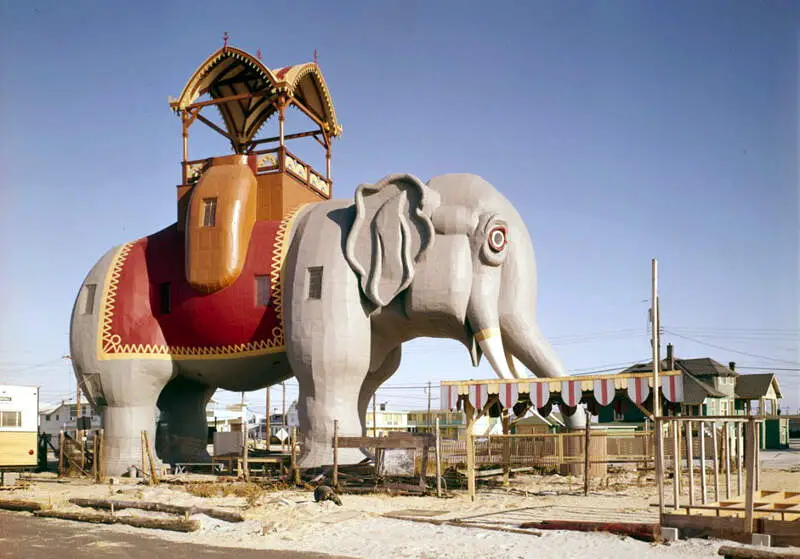 Lucy The Margate Elephant Habs Njc Margcic