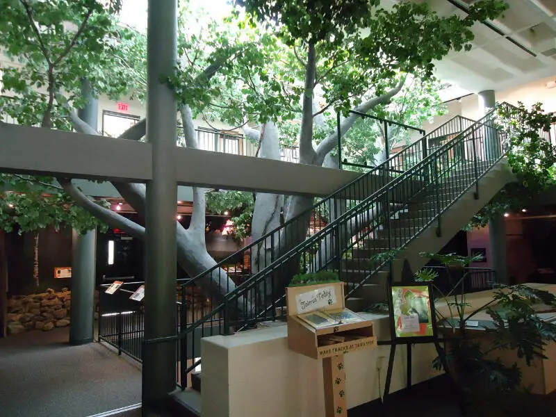 Trailside Nature Science Center Watchung Nj Interior View